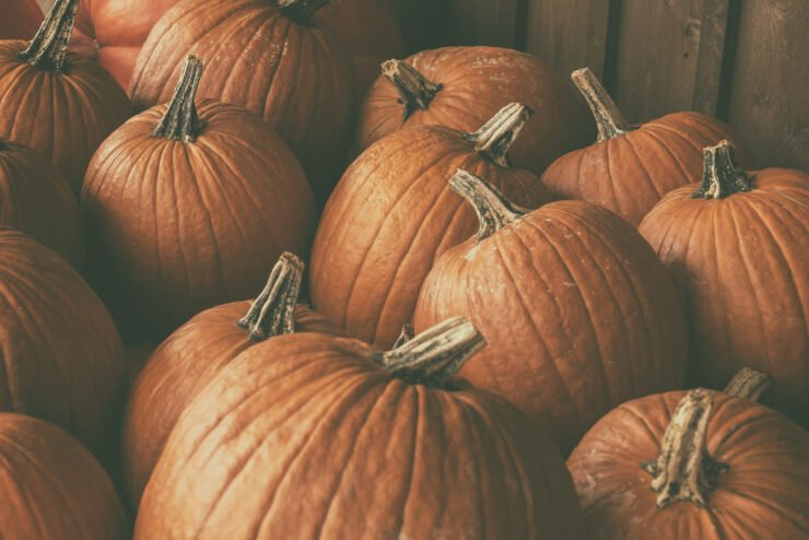 consumer-pr-shot-of-collection-of-pumpkins
