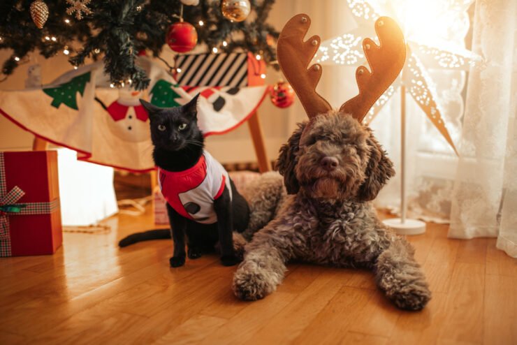 puppy-and-black-cat-posing-with-antlers-at-Christmas-time.