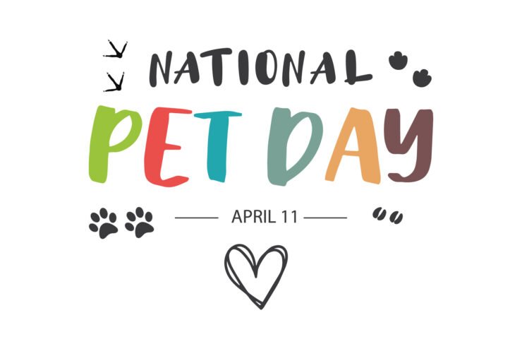 Title-image-saying-national-pet-day-April-11
