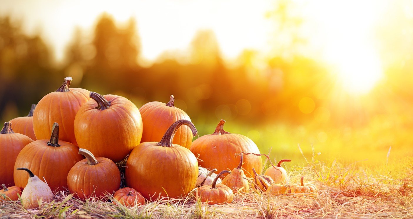 Collection of pumpkins