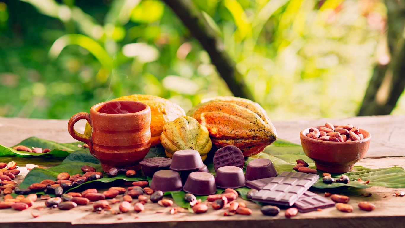 Beautiful-still-life-with-organic-products-from-the-cocoa-and-chocolate-industry-for-world-chocolate-day